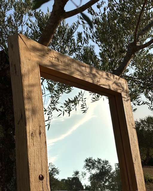 Proyecto de Autèntic Empordà 9